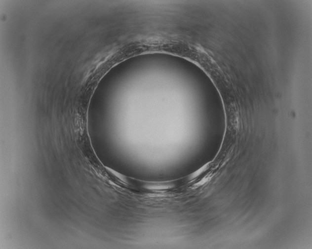 X0000073851253200608101216