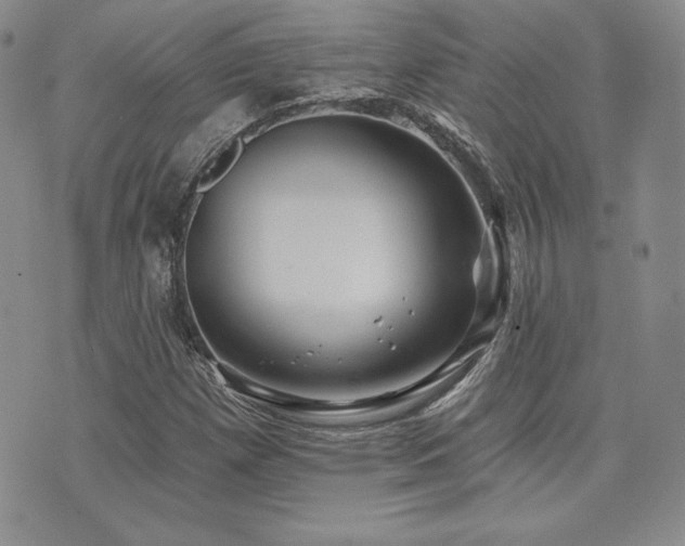 X0000073851257200608101216