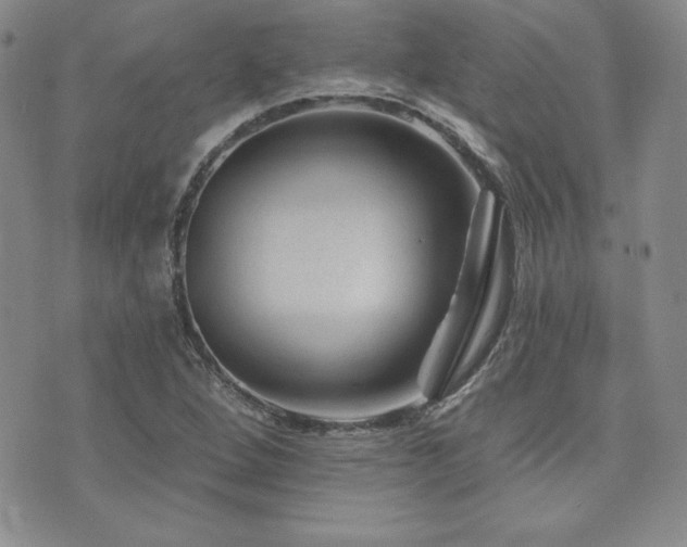 X0000073851264200608101216