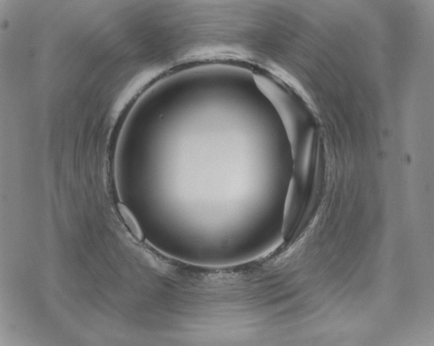 X0000073851277200608101216