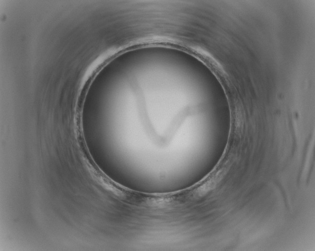 X0000073851278200608101216