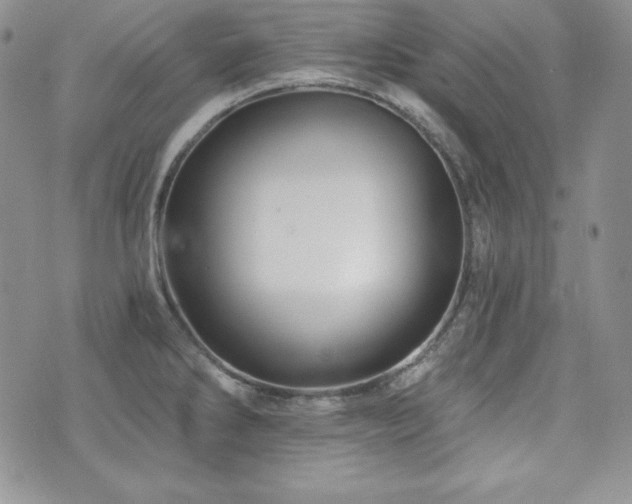 X0000073851286200608101216