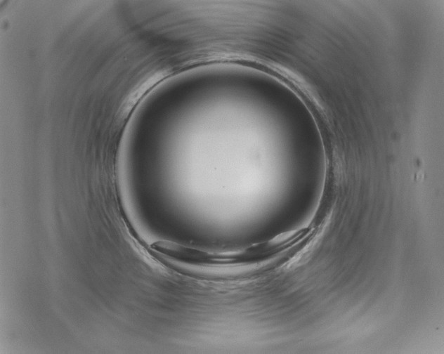 X0000073851289200608101216