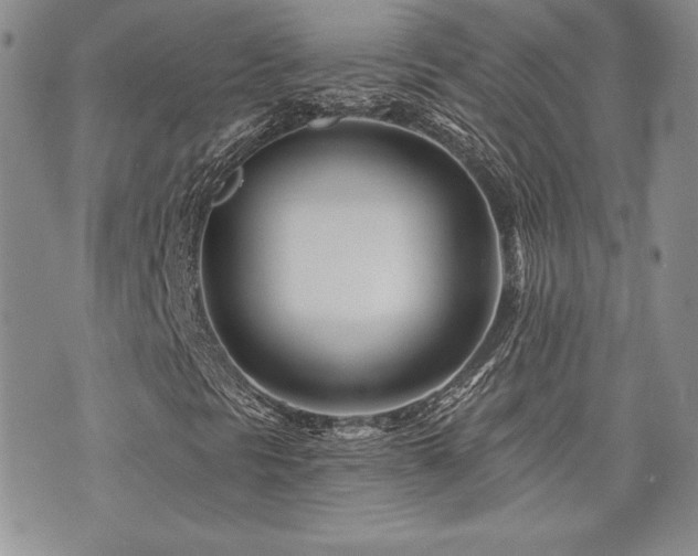 X0000073851297200608101215