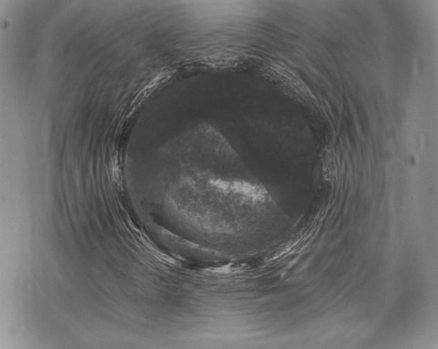 X0000073851298200608101215
