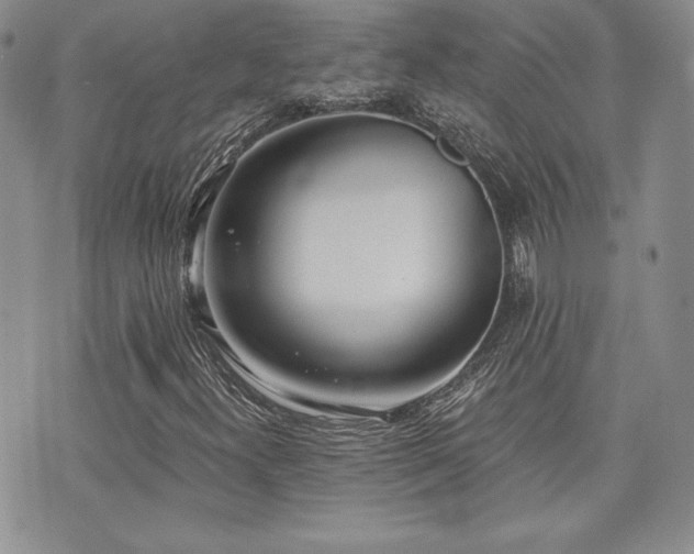 X0000073851300200608101215
