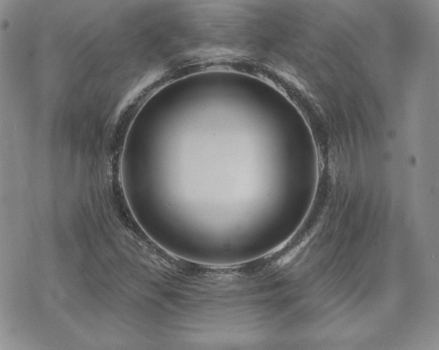 X0000073851309200608101215