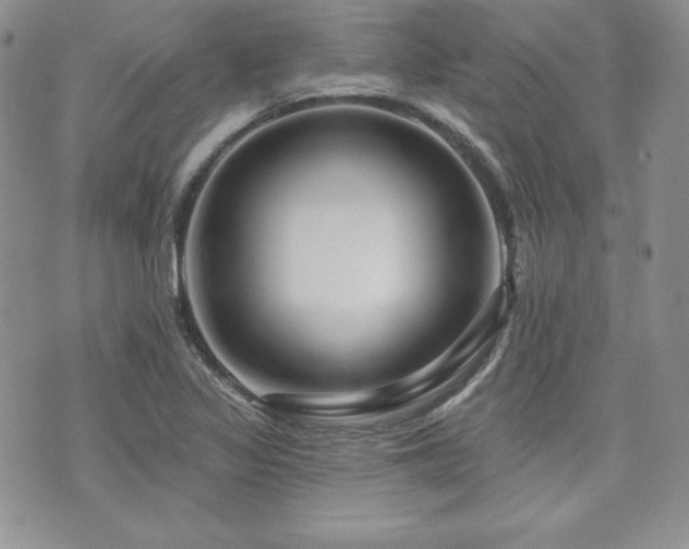 X0000073851317200608101215