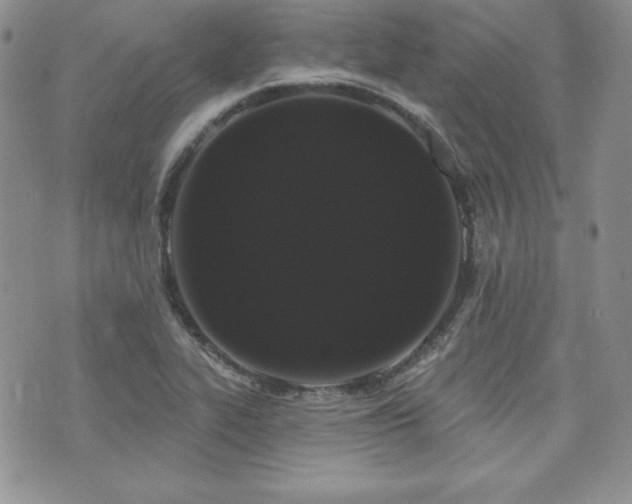X0000073851319200608101215