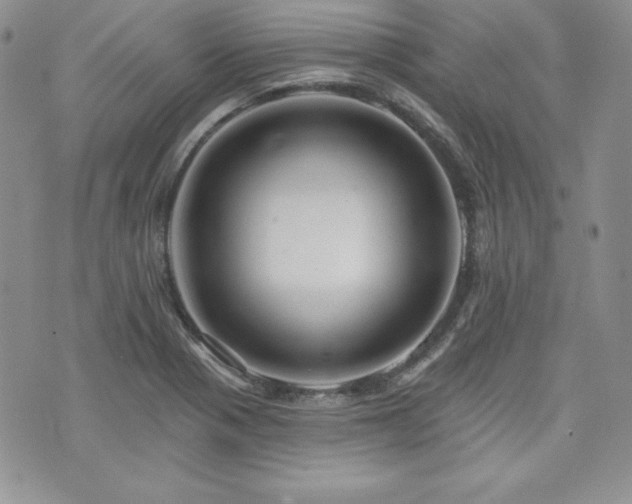 X0000073851321200608101215