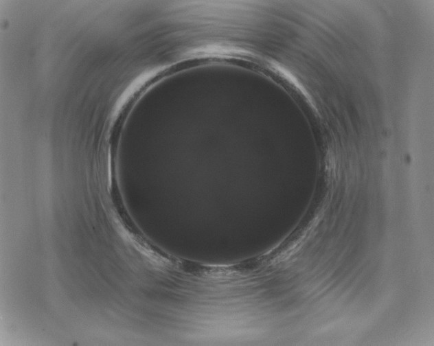 X0000073851323200608101215
