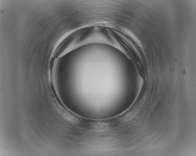 X0000073851324200608101215