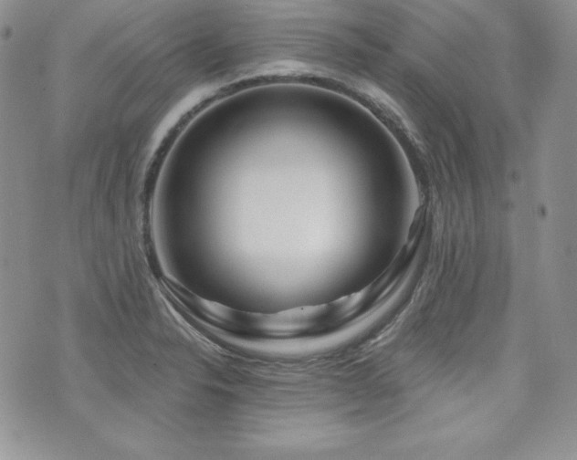 X0000073851326200608101215