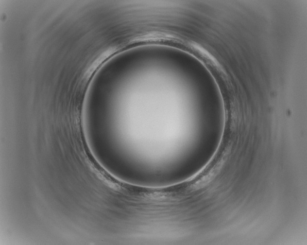 X0000073851329200608101215