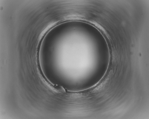 X0000073851333200608101216