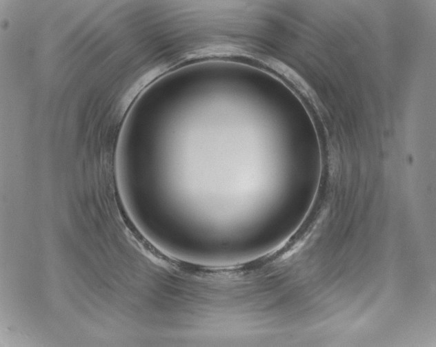 X0000073851337200608101216