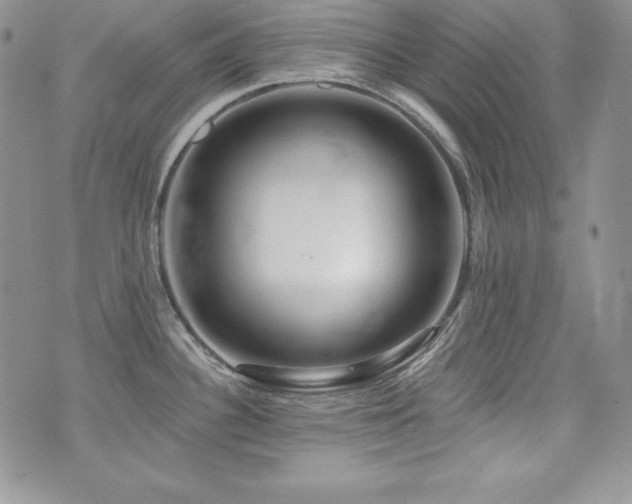 X0000073851340200608101216