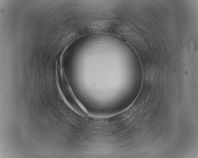 X0000073851346200608101215