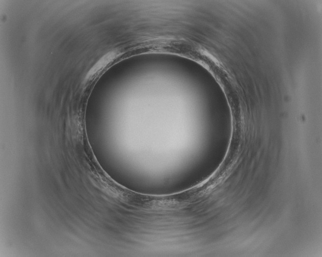 X0000073851354200608101215