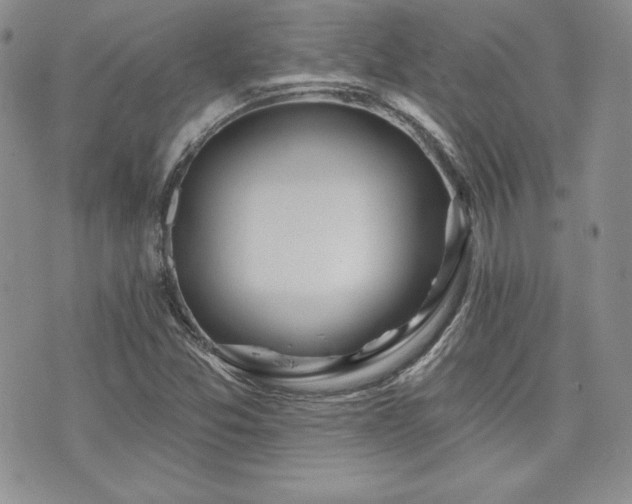 X0000073851357200608101215