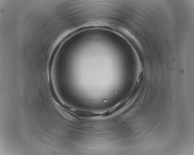 X0000073851372200608101214