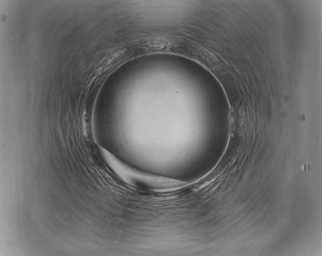 X0000073851394200608101213