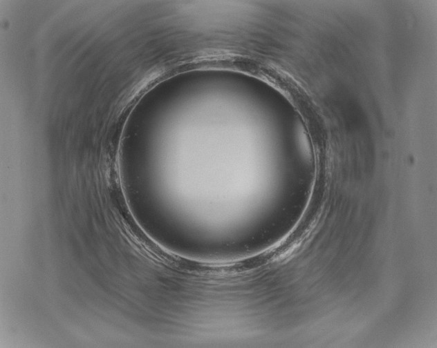 X0000073851401200608101213