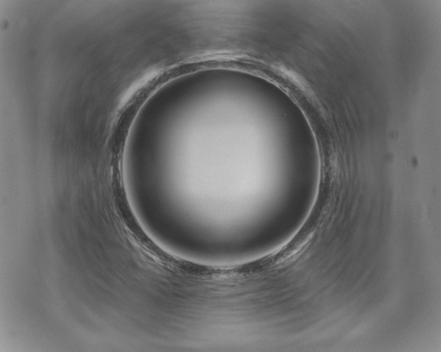 X0000073851406200608101213