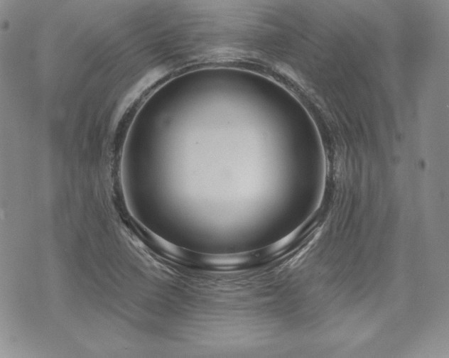 X0000073851410200608101214
