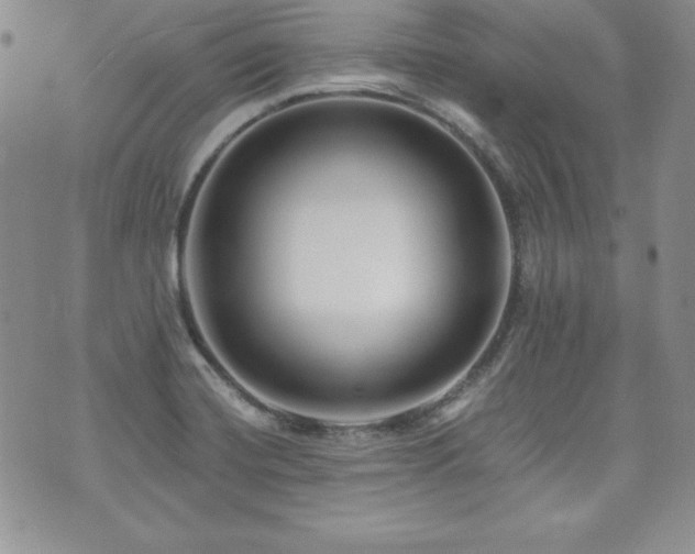 X0000073851420200608101214