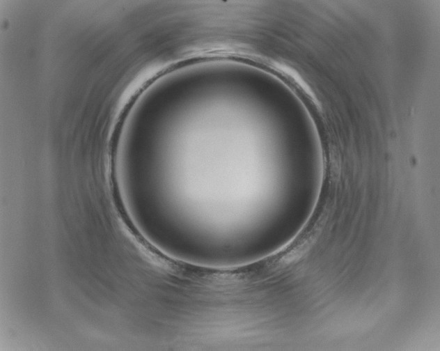 X0000073851424200608101214