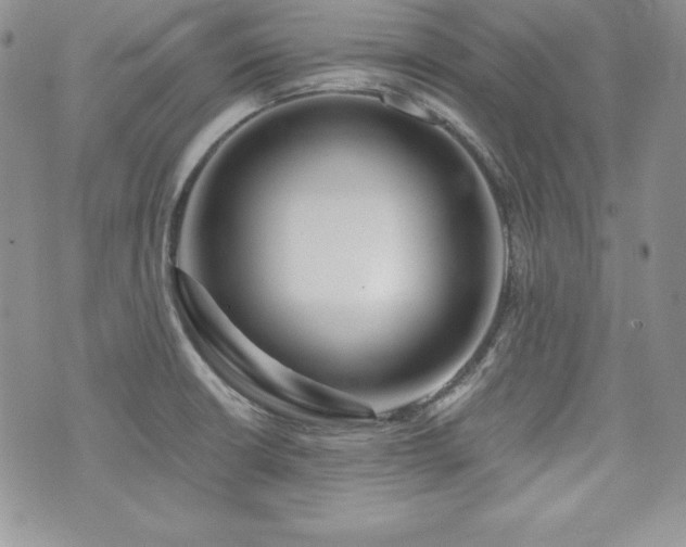 X0000073851426200608101214