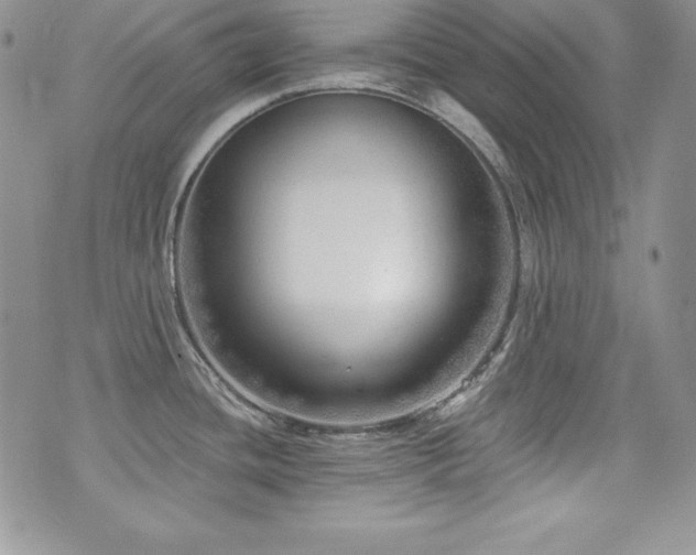 X0000073851436200608101214