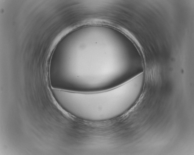 X0000073851437200608101214