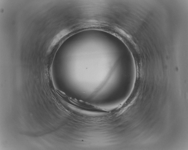 X0000073851453200608101213