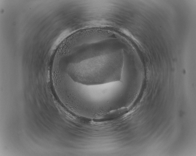 X0000073851459200608101213