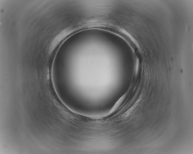 X0000073851461200608101213