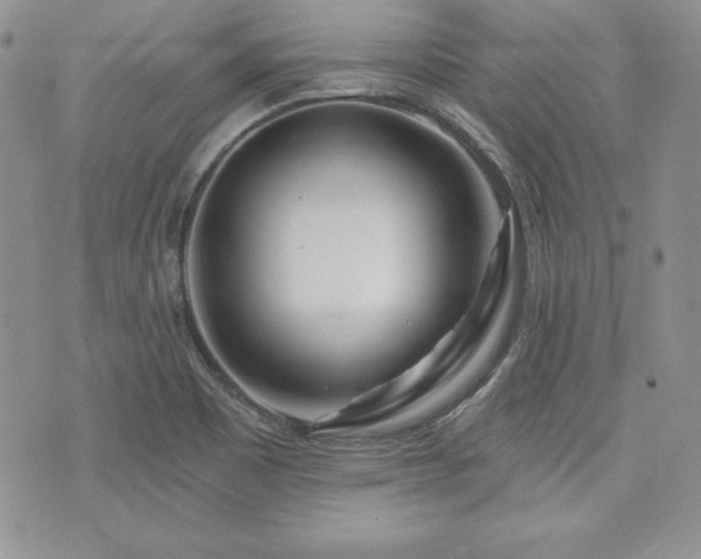 X0000073851465200608101213