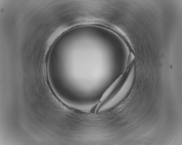X0000073851472200608101213
