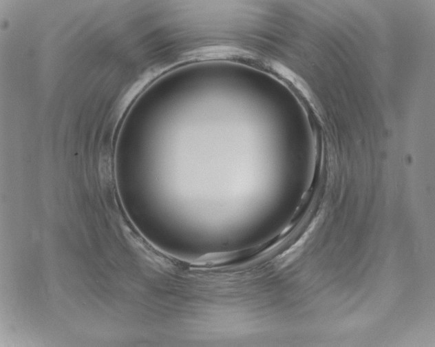 X0000073851473200608101213
