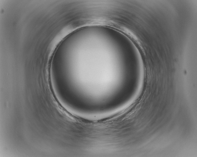 X0000073851480200608101213