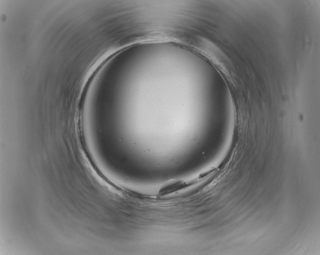 X0000073851484200608101213