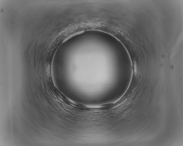X0000073851492200608101212