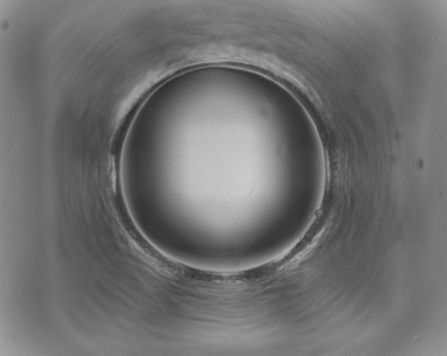 X0000073851509200608101212