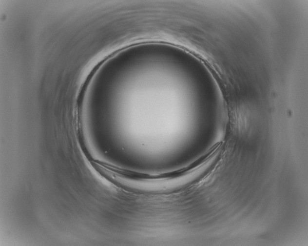 X0000073851519200608101212