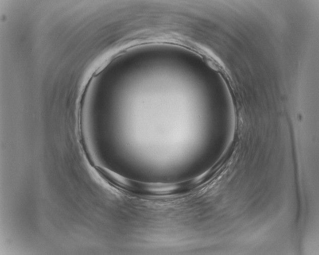 X0000073851528200608101212