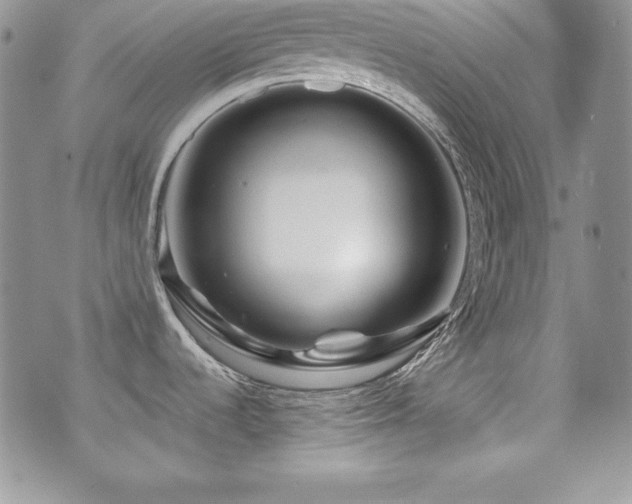 X0000073851536200608101212