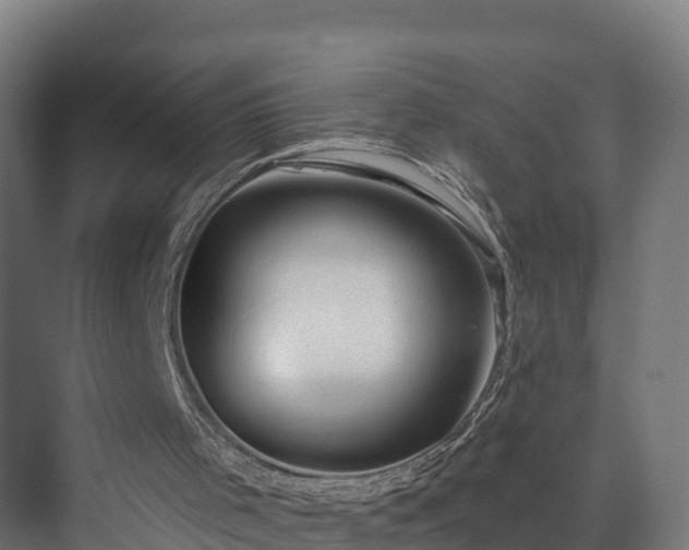 X0000073850001200608171045