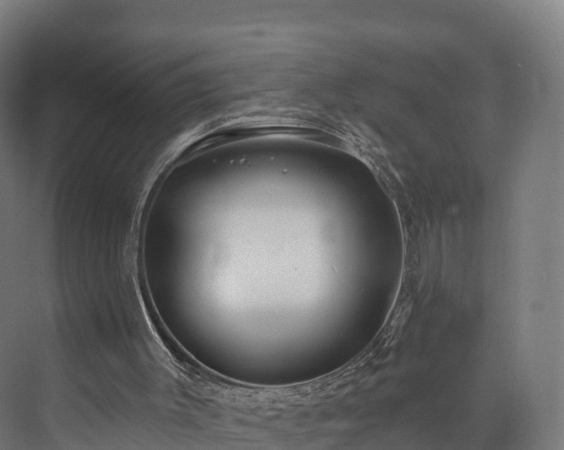 X0000073850003200608171045