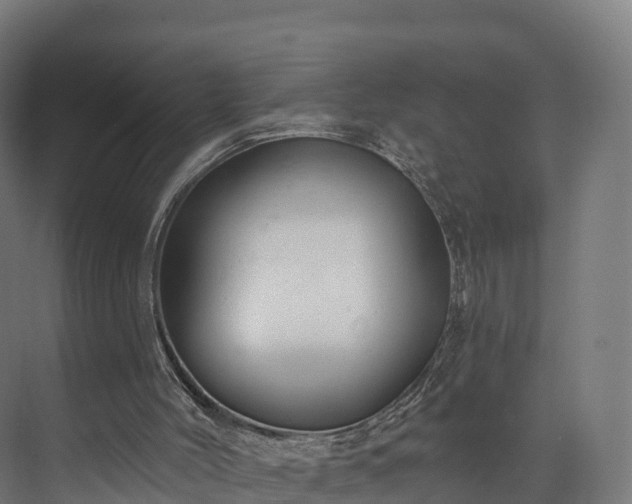 X0000073850004200608171045